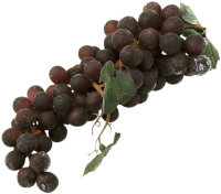 grapes